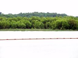 Springfield lake3.JPG